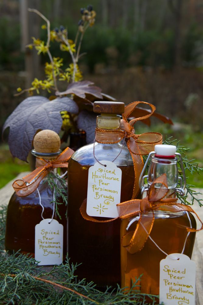 Bottles of spiced hawthorn pear persimmon brandy.