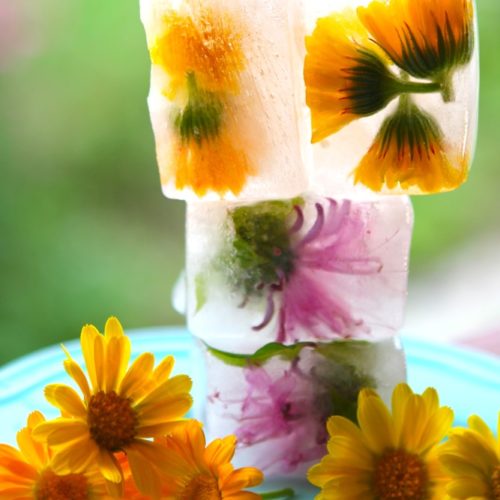 Calendula and wild bergamot ice cubes.